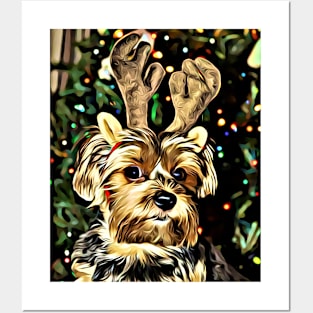 Christmas Yorkshire Terrier with Reindeer Antlers Posters and Art